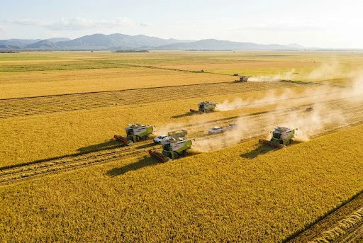 Agricultura